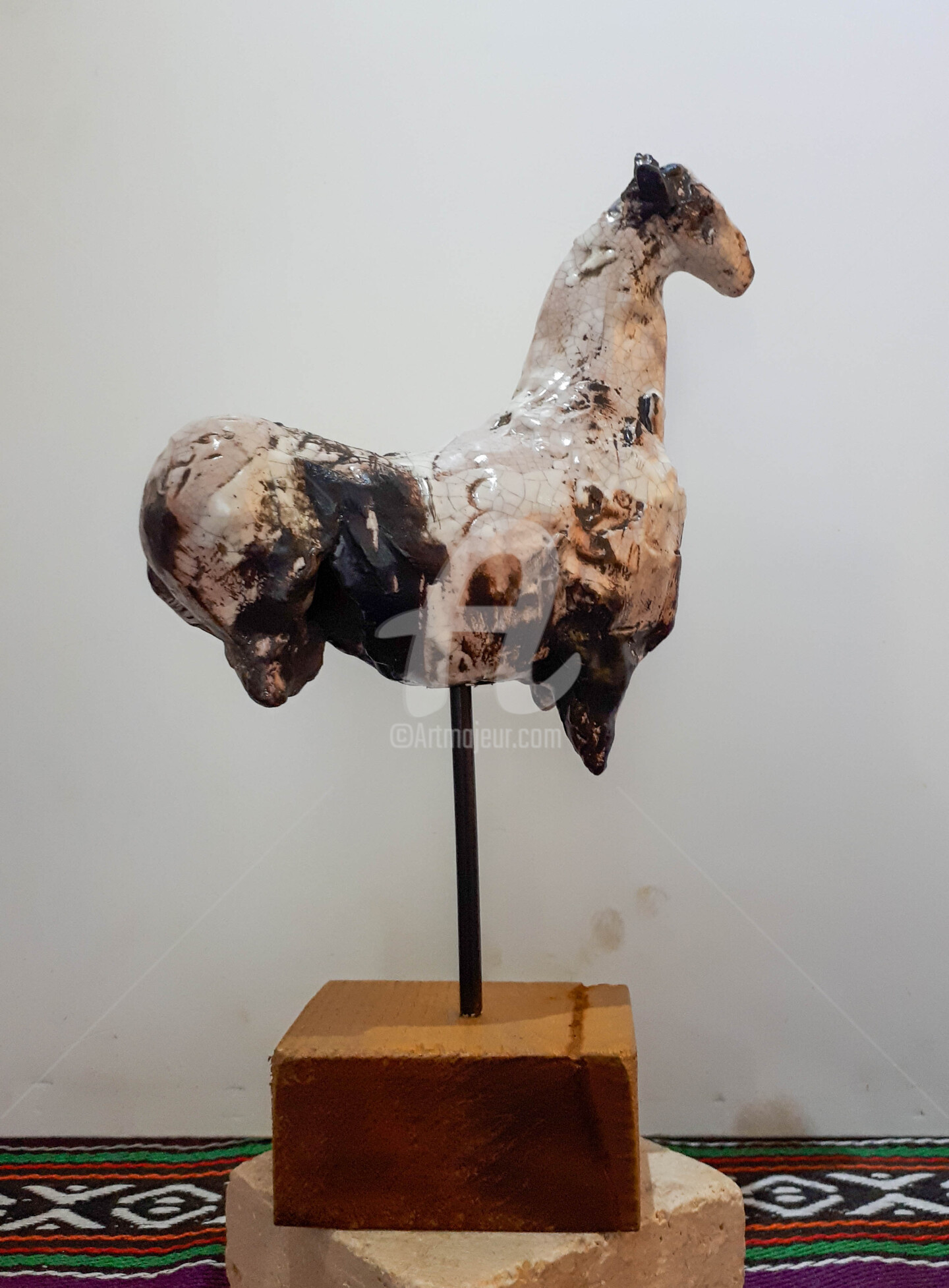 Collection Personnelle - Simona BARRECA - Cavallo Nero 2